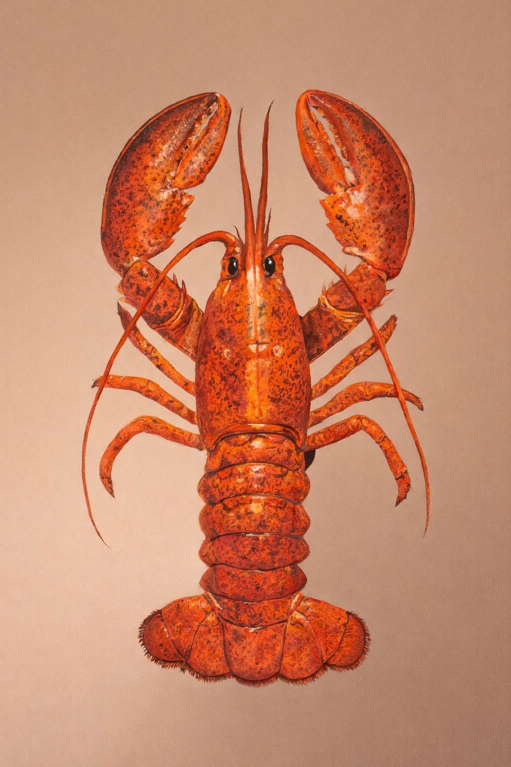 SERİE : "OBJET DE DÉSIR" NAME OF ART: "LUXURY SPECIES"