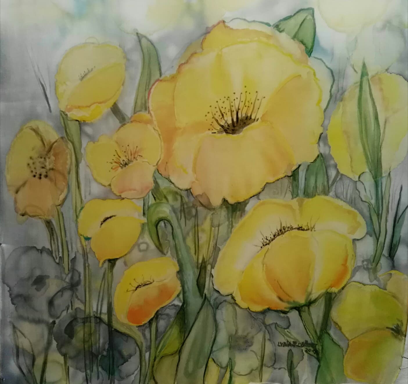 YELLOW POPPİES
