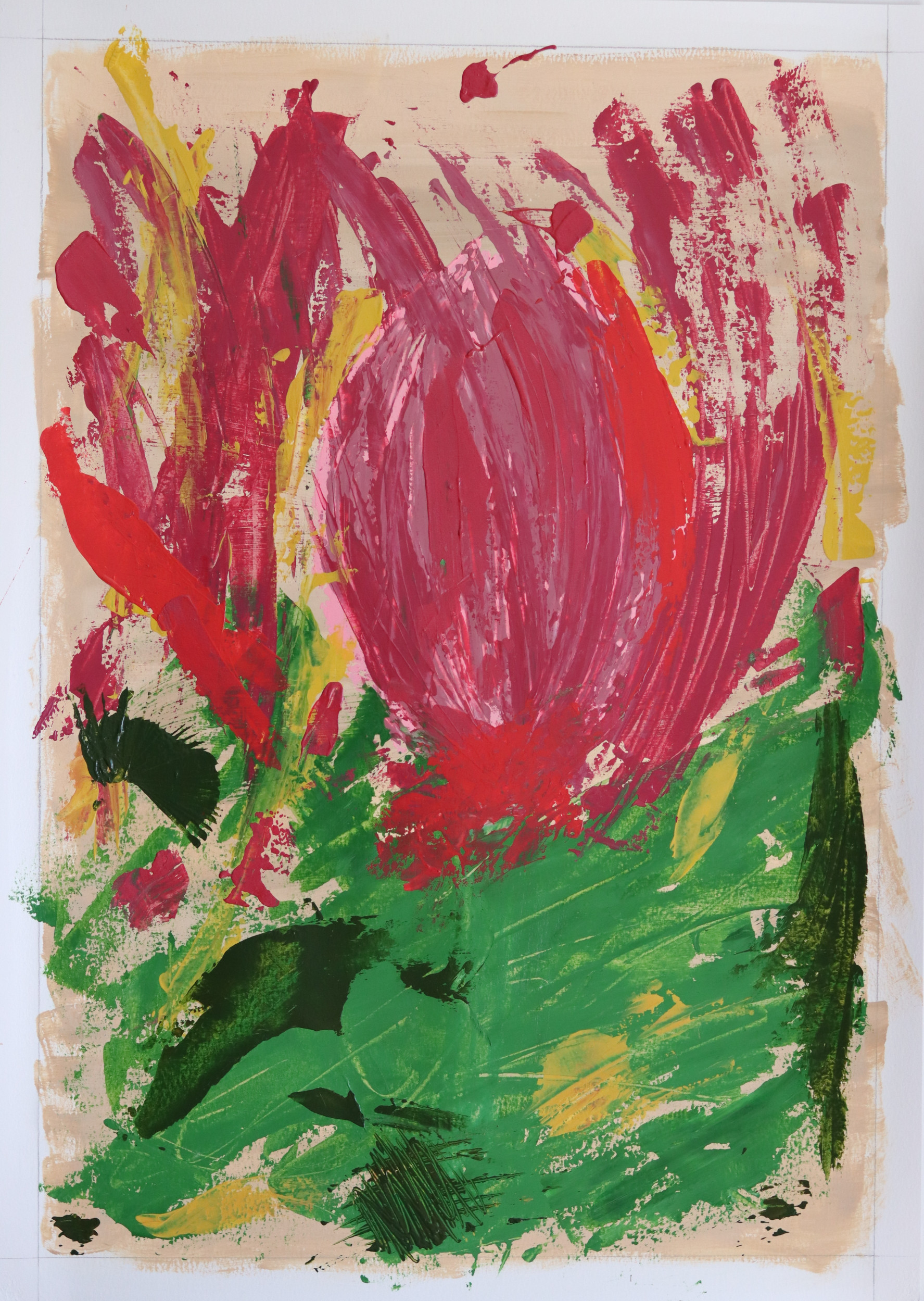 Tulip - Halima Salah