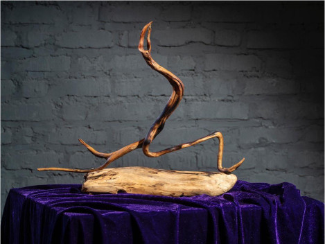 Arash Raissian - Daargoun 43