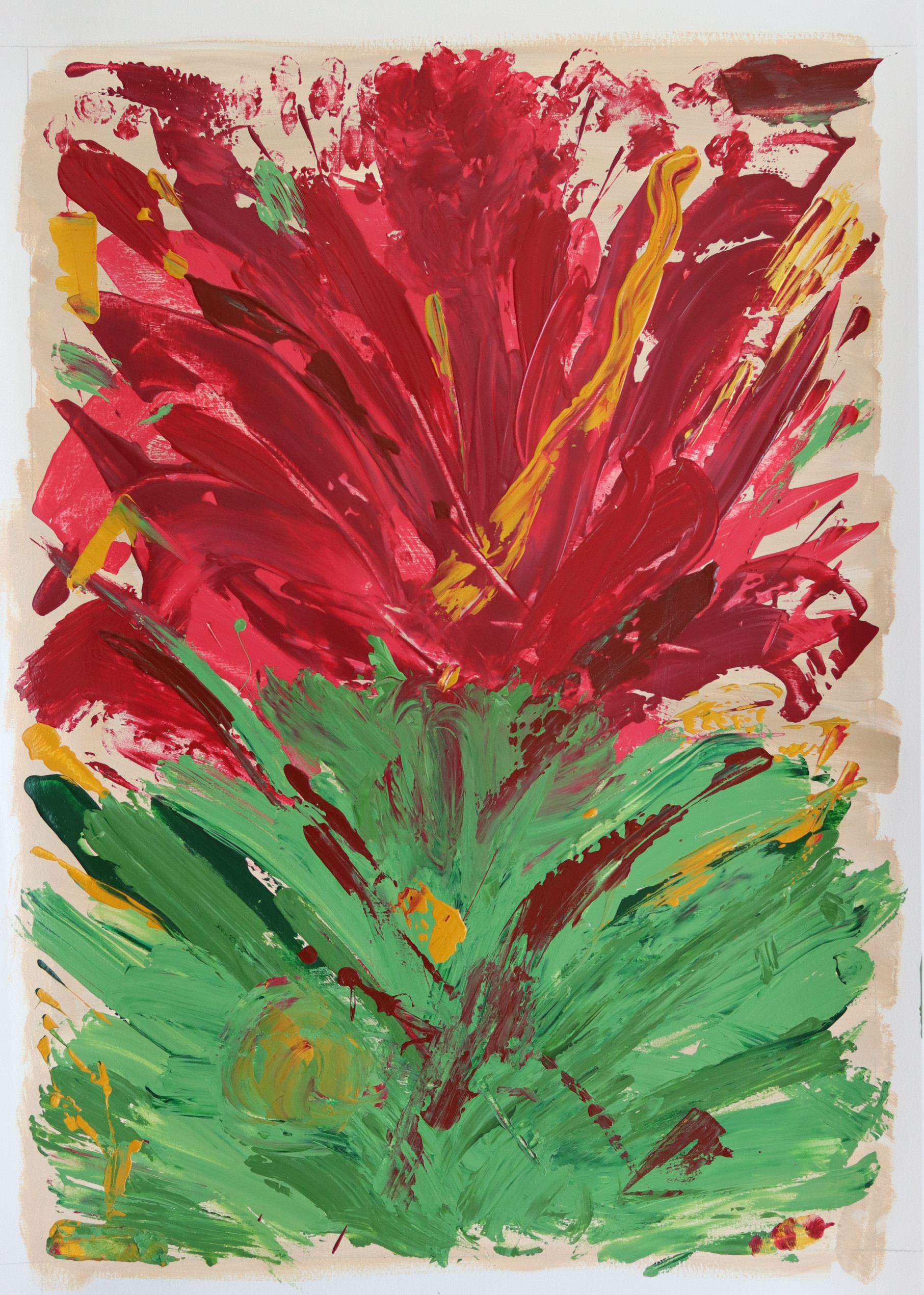 Hibiscus - Halima Salah