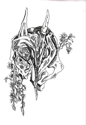 Untitled - Kiana Assadnassab