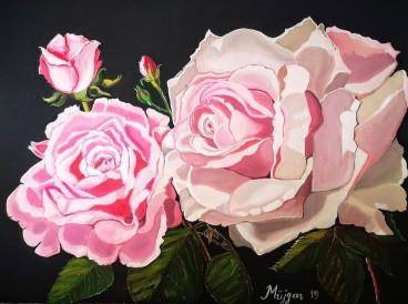 Güller - Müjgan Akyol - Müjgan Akyol