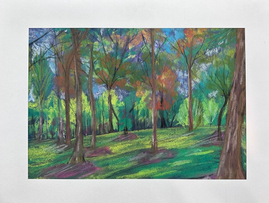 Untitled - Bahareh Assari