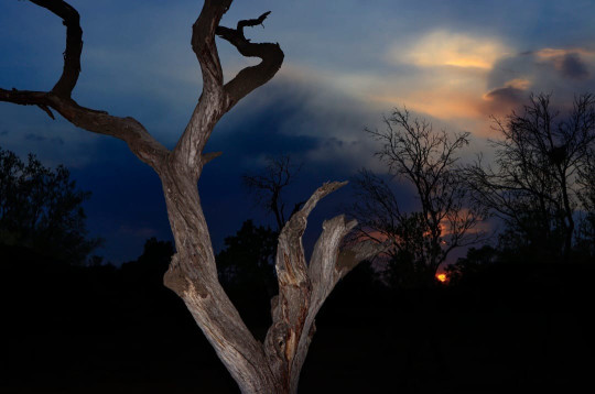 Untitled - Abolfazl Chehrehgosha