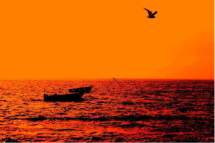 Satyar Habashi - Untitled