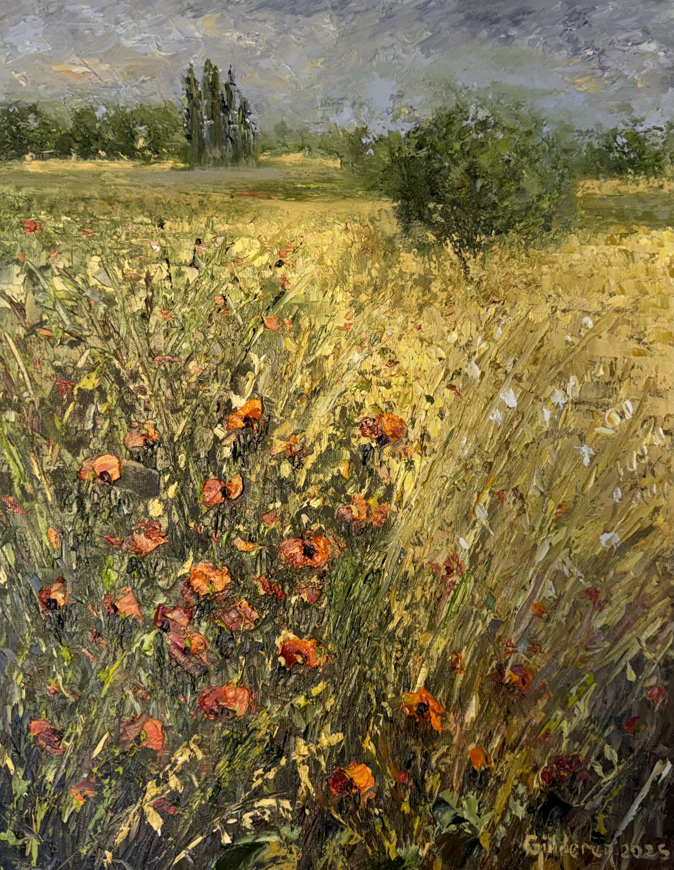 Buğdaylar & Gelincikler